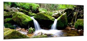 Obraz skleněný tekoucí řeka v lese mezi kameny - 30 x 60 cm