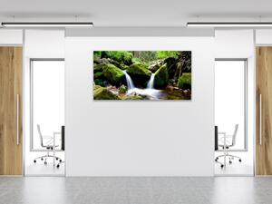 Obraz skleněný tekoucí řeka v lese mezi kameny - 50 x 100 cm