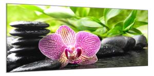 Obraz skleněný jeden květ orchideje na zen kamenech - 34 x 72 cm