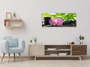 Obraz skleněný jeden květ orchideje na zen kamenech - 30 x 60 cm