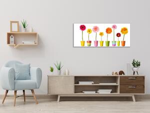 Obraz skleněný barevné gerbery v květináči - 40 x 60 cm