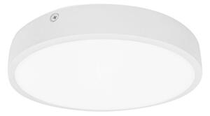 Palnas Stropní/nástěnné LED svítidlo EGON ø 22 cm Barva: Bílá, 3000K