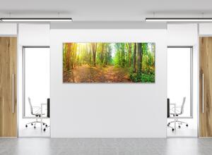 Obraz skleněný lesní pěšina - 30 x 60 cm