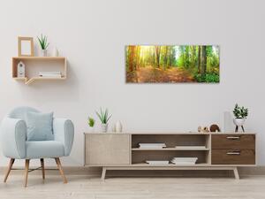 Obraz skleněný lesní pěšina - 30 x 60 cm