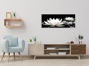 Obraz skleněný květ bílý leknín na hladině vody - 30 x 60 cm