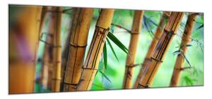 Obraz skleněný hnědý bambus a zelené pozadí - 30 x 60 cm