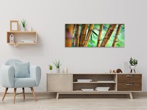 Obraz skleněný hnědý bambus a zelené pozadí - 50 x 70 cm