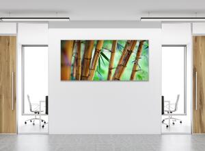 Obraz skleněný hnědý bambus a zelené pozadí - 34 x 72 cm