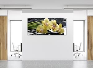 Obraz skleněný květy žlutá orchidej na černých kamenech - 30 x 60 cm