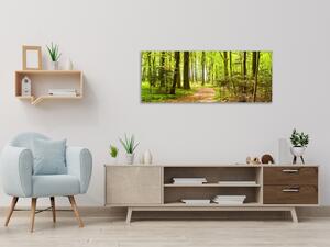 Obraz skleněný lesní cestička - 30 x 60 cm