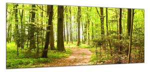 Obraz skleněný lesní cestička - 30 x 60 cm