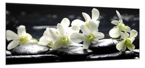 Obraz skleněný květy bílá orchidej na černém kameni - 52 x 60 cm