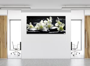 Obraz skleněný květy bílá orchidej na černém kameni - 30 x 60 cm