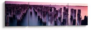 Obraz dřevěných kůlů (170x50 cm)