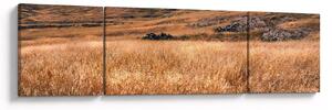 Obraz pole (170x50 cm)