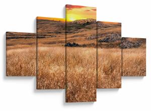 Obraz pole (125x70 cm)