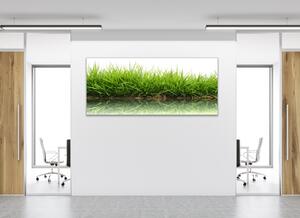 Obraz skleněný tráva s odrazem v hladině vody - 30 x 60 cm