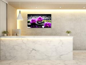 Obraz skleněný květy fialové orchideje na kamenech a tráva - 100 x 150 cm