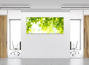 Obraz skleněný slunce mezi větvemi listí - 50 x 70 cm