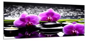 Obraz skleněný květy fialové orchideje na kamenech a tráva - 100 x 150 cm