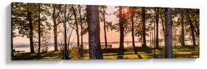 Obraz stromů u jezera (170x50 cm)