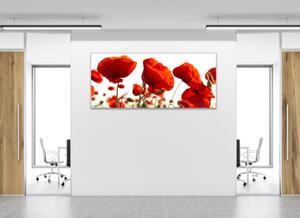 Obraz na zeď červené vlčí máky - 30 x 60 cm