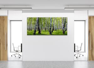 Obraz skleněný břízový les - 30 x 60 cm