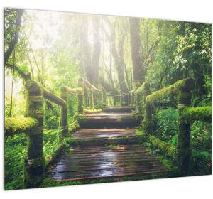 Skleněný obraz - dřevěné schody v lese (70x50 cm)