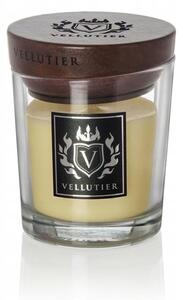 Tradiční sójová svíčka Midnight Toast Vellutier 1 ks
