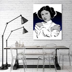 Obraz na plátně Star Wars, Leia Organa - Nikita Abakumov Rozměry: 40 x 60 cm