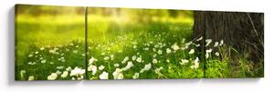 Obraz paseky a květin (170x50 cm)