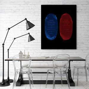 Obraz na plátně Modrá a červená pilulka - Nikita Abakumov Rozměry: 40 x 60 cm