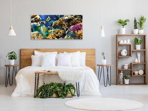 Obraz skleněný mořský svět, ryby a korály - 34 x 72 cm