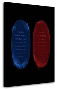 Obraz na plátně Modrá a červená pilulka - Nikita Abakumov Rozměry: 40 x 60 cm