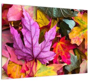 Skleněný obraz - podzimní listy (70x50 cm)