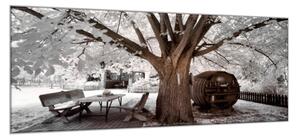 Obraz skleněný zimní strom a sud vína - 50 x 70 cm