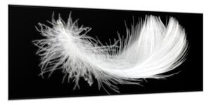 Obraz skleněný bílé peří na černém podkladu - 50 x 70 cm