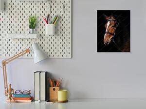 Obraz skleněný hnědý kůň s bílou lysinou - 60 x 90 cm