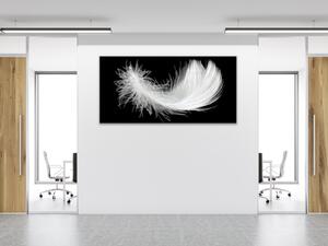 Obraz skleněný bílé peří na černém podkladu - 30 x 60 cm
