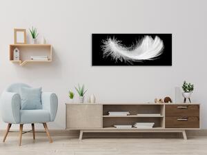 Obraz skleněný bílé peří na černém podkladu - 30 x 60 cm