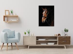 Obraz skleněný hnědý kůň s bílou lysinou - 40 x 60 cm