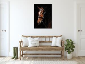 Obraz skleněný hnědý kůň s bílou lysinou - 60 x 90 cm