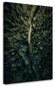 Obraz na plátně Pohled na les z ptačí perspektivy - Nikita Abakumov Rozměry: 40 x 60 cm