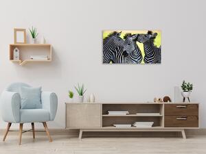 Obraz skleněný tulící se zebry - 30 x 60 cm