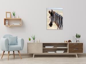 Obraz skleněný hlava zebry - 30 x 60 cm