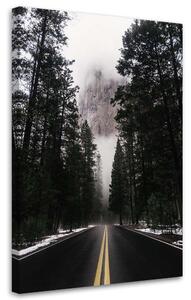 Obraz na plátně Cesta v mlžném lese - Nikita Abakumov Rozměry: 40 x 60 cm