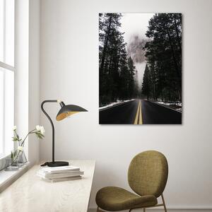 Obraz na plátně Cesta v mlžném lese - Nikita Abakumov Rozměry: 40 x 60 cm