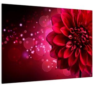 Skleněný obraz červené květiny (70x50 cm)