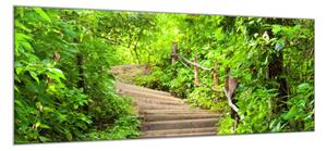 Obraz skleněný schody v lese - 34 x 72 cm