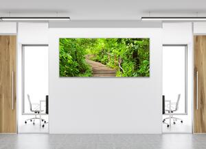 Obraz skleněný schody v lese - 34 x 72 cm
